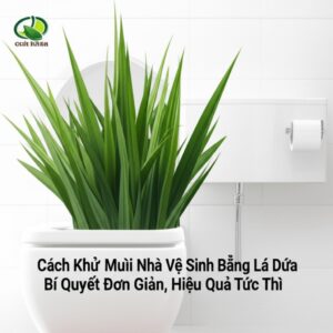 Cách Khử Mùi Nhà Vệ Sinh Bằng Lá Dứa: Bí Quyết Đơn Giản, Hiệu Quả Tức Thì