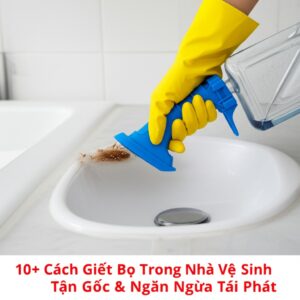 10+ Cách Giết Bọ Trong Nhà Vệ Sinh Tận Gốc & Ngăn Ngừa Tái Phát