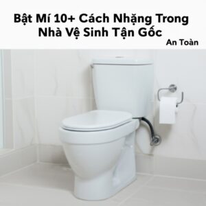 Bật Mí 10+ Cách Diệt Nhặng Trong Nhà Vệ Sinh Tận Gốc, An Toàn