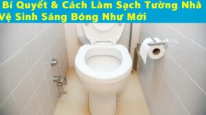 Bí Quyết & Cách Làm Sạch Tường Nhà Vệ Sinh Sáng Bóng Như Mới