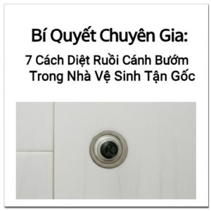 Bí Quyết Chuyên Gia: 7 Cách Diệt Ruồi Cánh Bướm Trong Nhà Vệ Sinh Tận Gốc