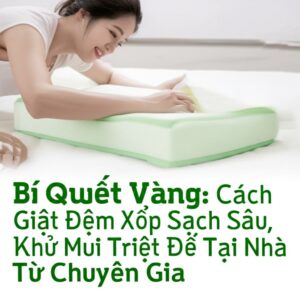 Bí Quyết Vàng: Cách Giặt Đệm Xốp Sạch Sâu, Khử Mùi Triệt Để Tại Nhà Từ Chuyên Gia