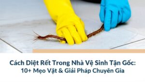 Cách Diệt Rết Trong Nhà Vệ Sinh Tận Gốc: 10+ Mẹo Vặt & Giải Pháp Chuyên Gia