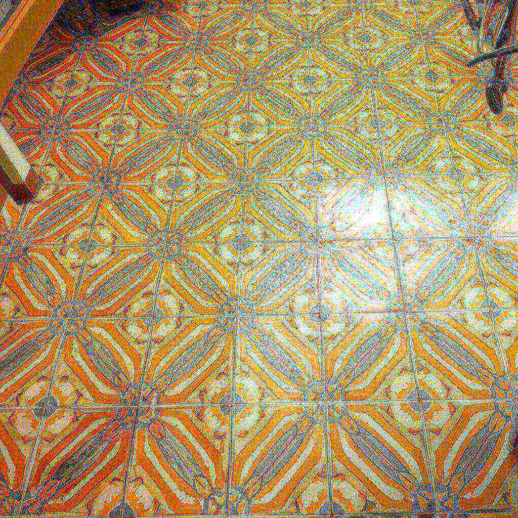 Hình minh họa cho bài viết: Cách Vệ Sinh Gạch Bông Nhà Bếp Đúng Chuẩn Chuyên Gia: Sạch Sáng, Bền Đẹp