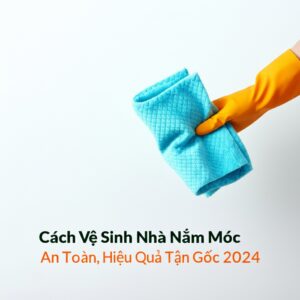 Cách Vệ Sinh Nhà Nấm Mốc An Toàn, Hiệu Quả Tận Gốc 2024