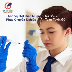 Dịch Vụ Diệt Gián Quận 8 Tận Gốc – Giải Pháp Chuyên Nghiệp, An Toàn Tuyệt Đối