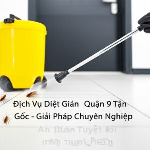 Dịch Vụ Diệt Gián Quận 9 Tận Gốc – Giải Pháp Chuyên Nghiệp, An Toàn Tuyệt Đối