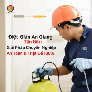 Diệt Gián An Giang Tận Gốc: Giải Pháp Chuyên Nghiệp, An Toàn & Triệt Để 100%