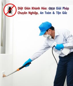 Diệt Gián Khánh Hòa: Giải Pháp Chuyên Nghiệp, An Toàn & Tận Gốc