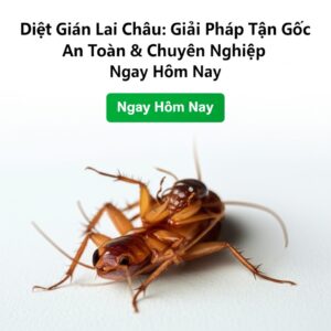 Diệt Gián Lai Châu: Giải Pháp Tận Gốc, An Toàn & Chuyên Nghiệp Ngay Hôm Nay
