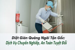 Diệt Gián Quảng Ngãi Tận Gốc: Dịch Vụ Chuyên Nghiệp, An Toàn Tuyệt Đối