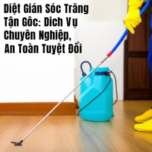 Diệt Gián Sóc Trăng Tận Gốc: Dịch Vụ Chuyên Nghiệp, An Toàn Tuyệt Đối