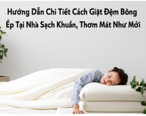 Hướng Dẫn Chi Tiết Cách Giặt Đệm Bông Ép Tại Nhà Sạch Khuẩn, Thơm Mát Như Mới
